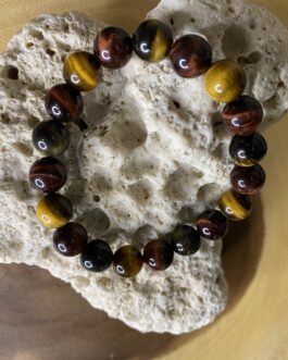 Tigers Eye Tricolor